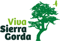 tall tree graphic, words: Viva Sierra Gorda