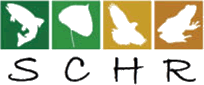 glyphs of a fish, a leaf, a raptor in flight, and a frog; letters s, c, h, r